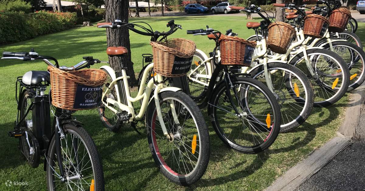 Family bike hire near me outlet